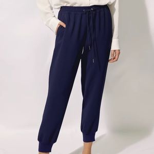 Wilfred Buffon Pants, size M (Aritizia)